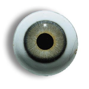 绿色人眼 green  human eyes 万氏"绿色人眼"是一种选用上等原材料